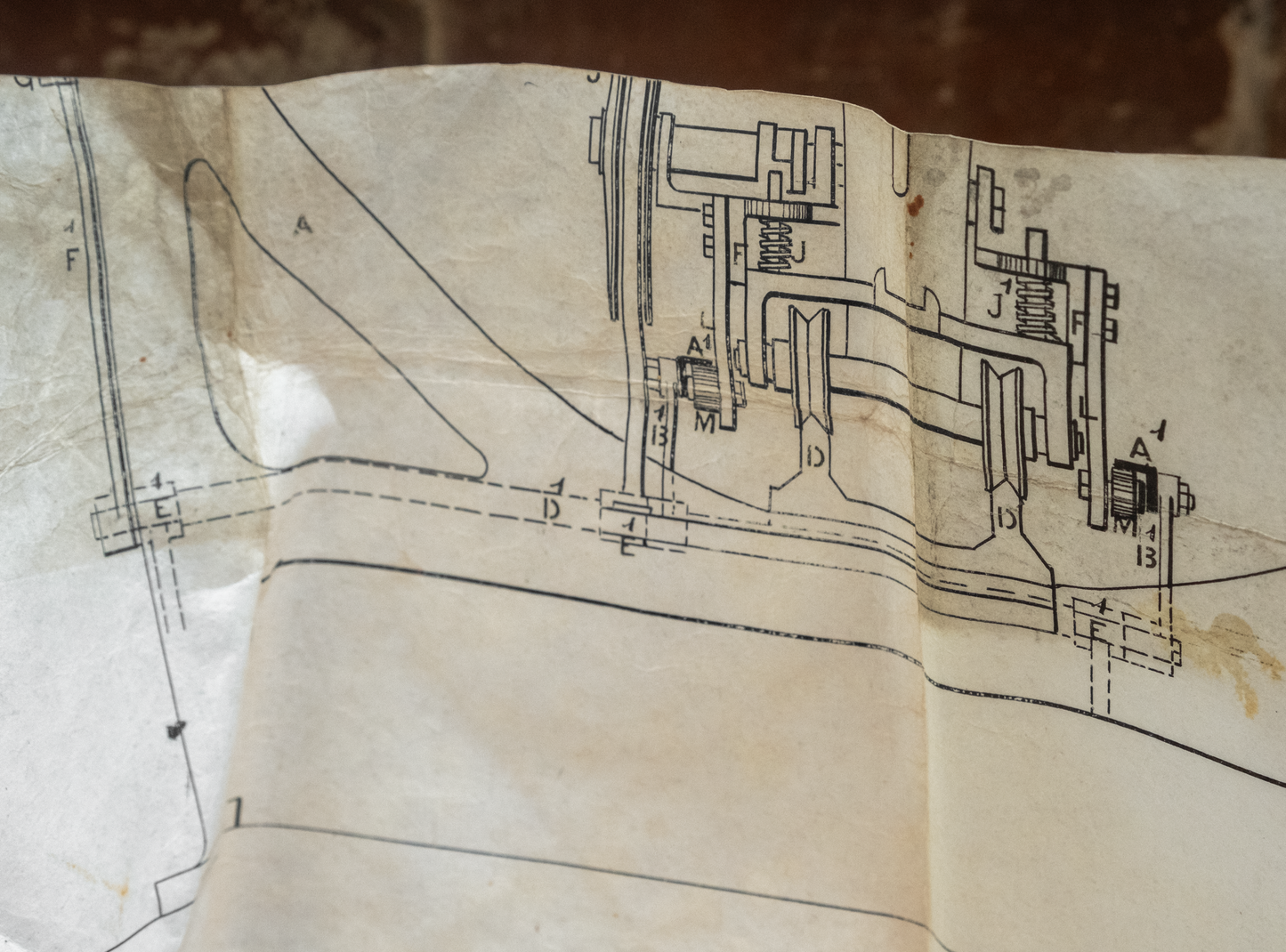 Vintage Gold Leaf Guard