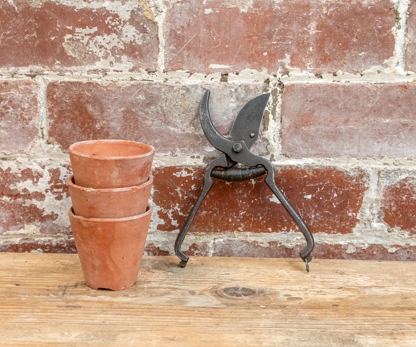 Ward & Payne Secateurs