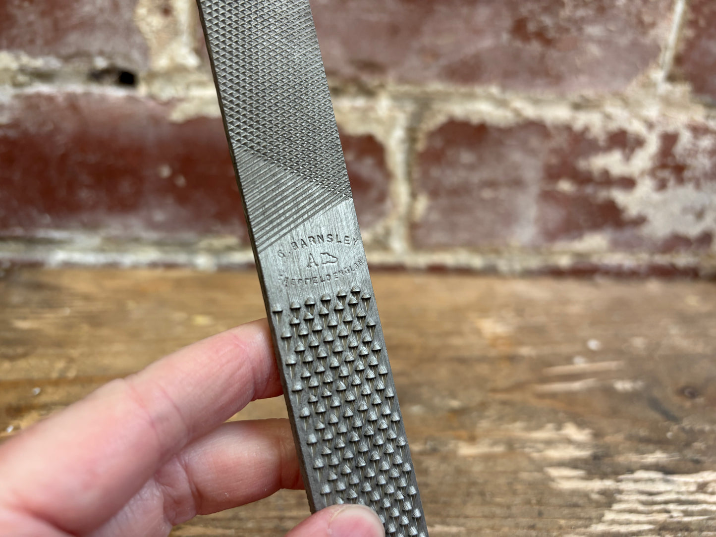 8" Steel Shoe Rasp