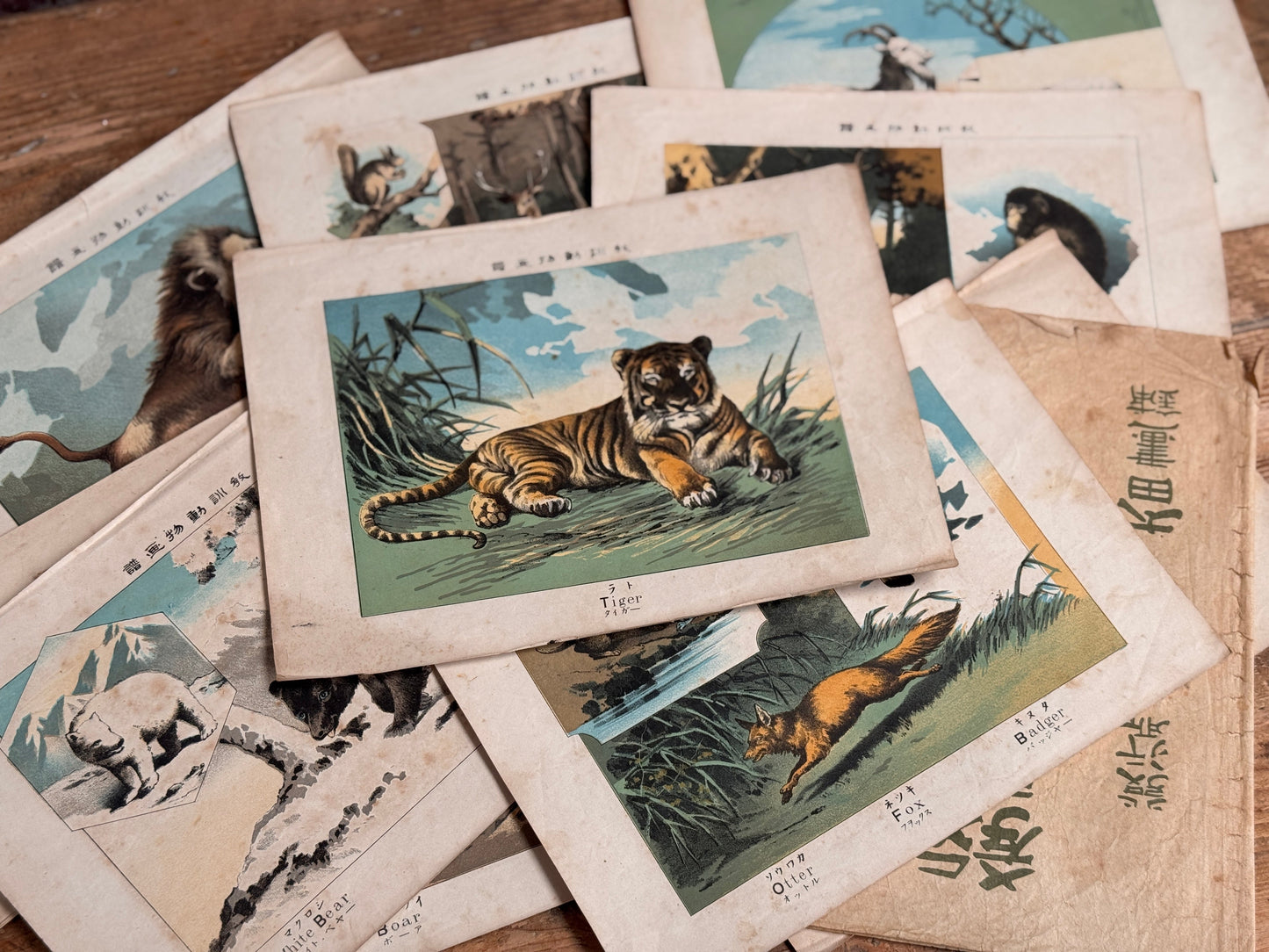 Animal Book Plates