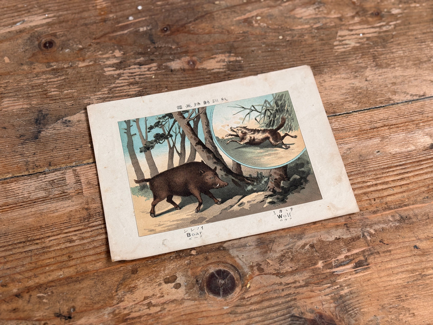 Animal Book Plates