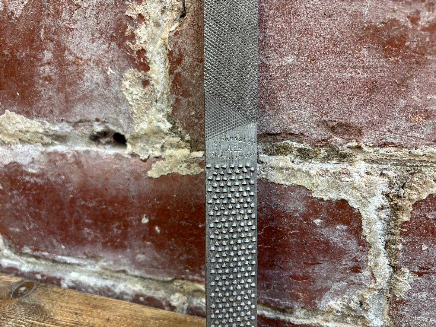 8" Steel Shoe Rasp