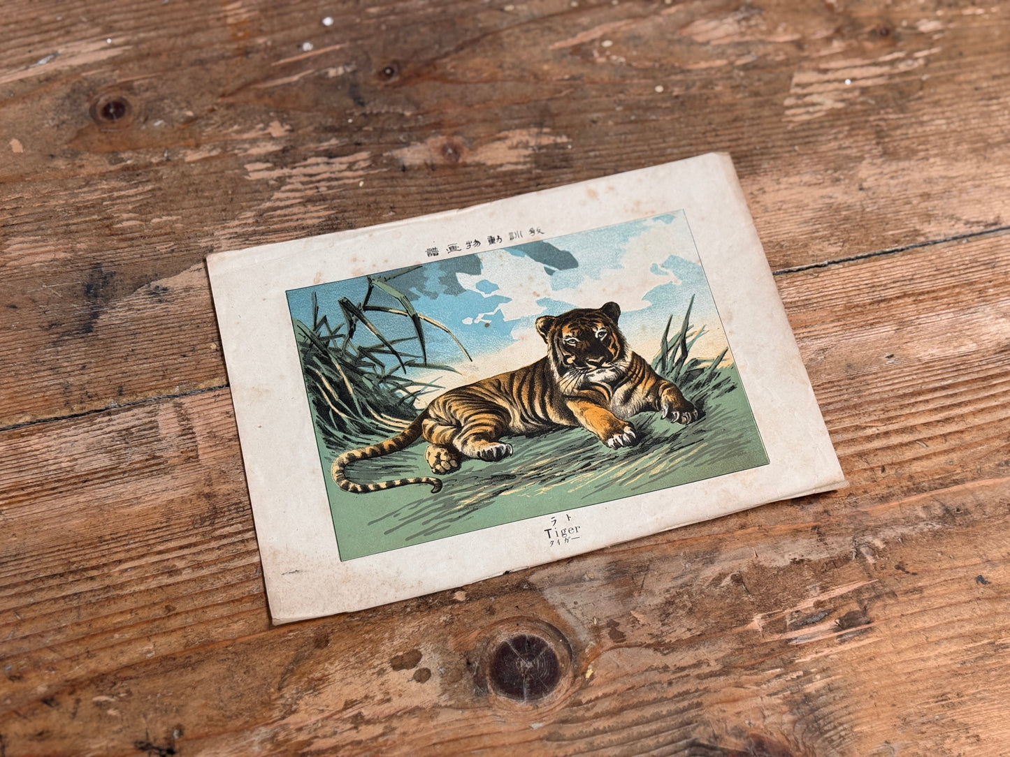 Animal Book Plates