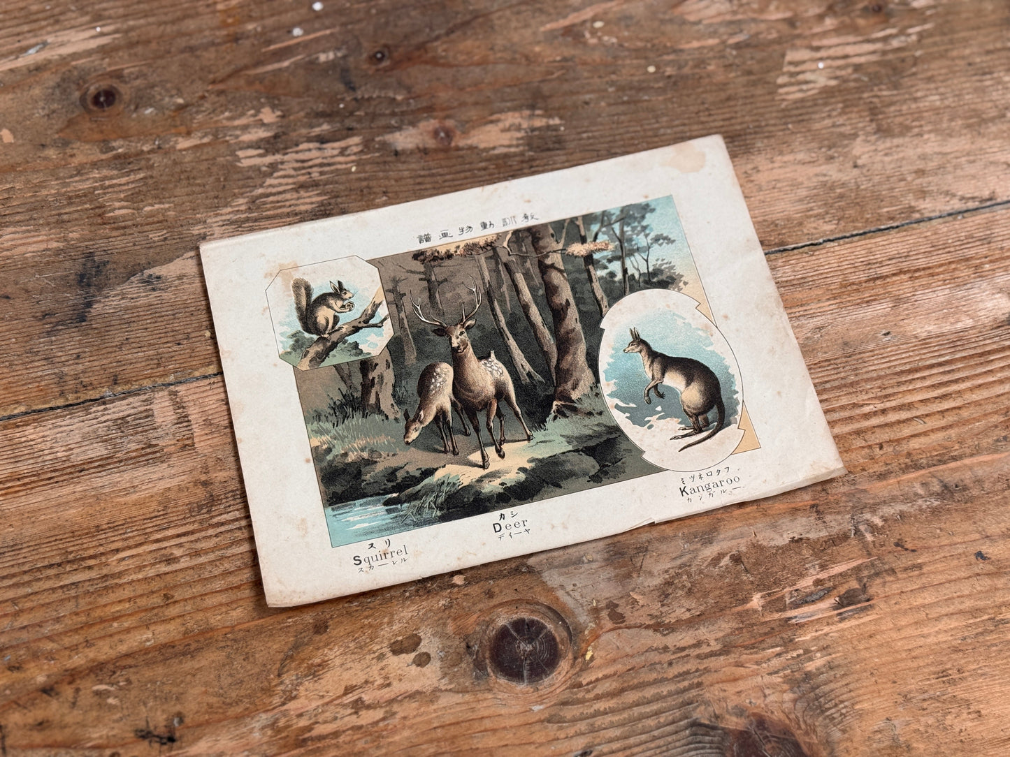 Animal Book Plates