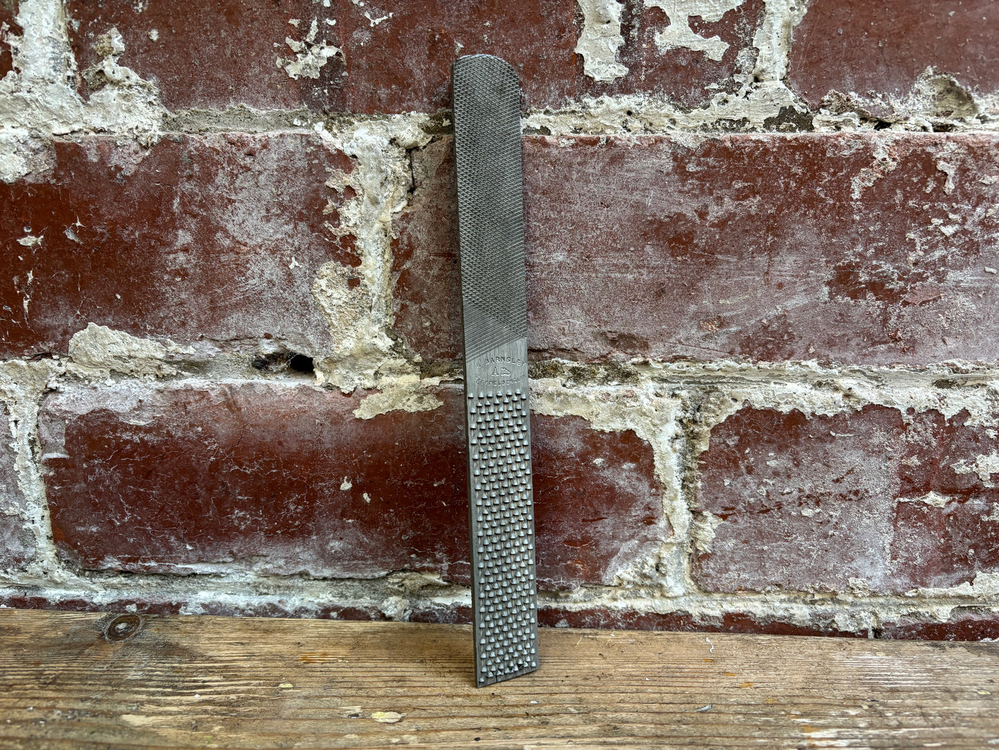 8" Steel Shoe Rasp