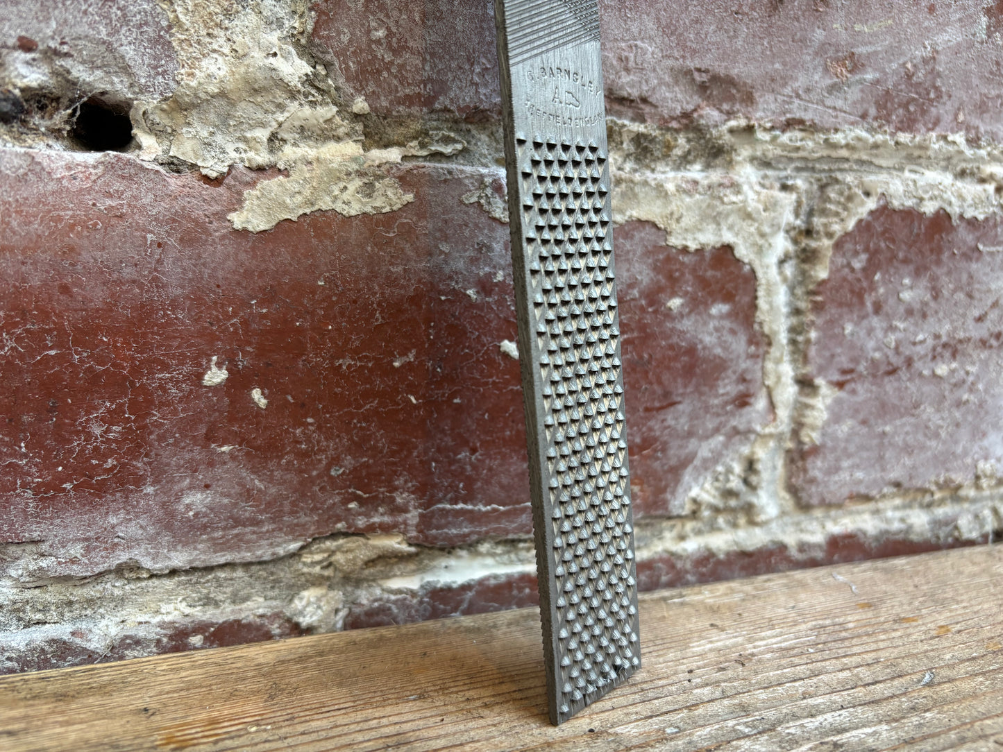 8" Steel Shoe Rasp