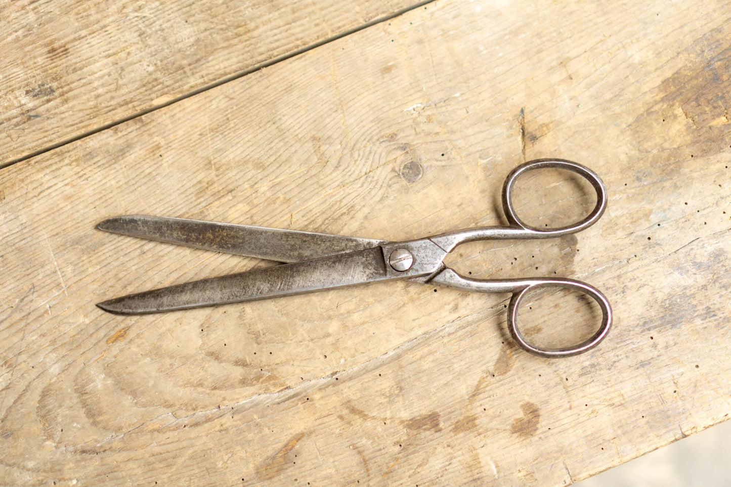 'Ridgely' Tailors Shears