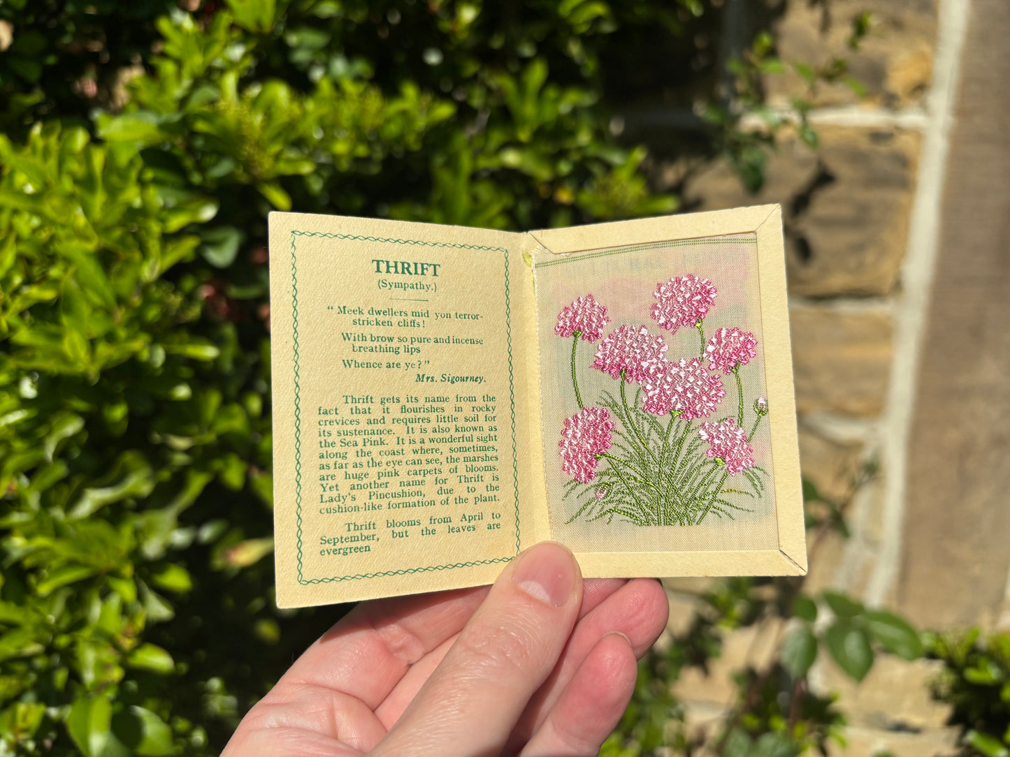 Kensitas 1930s Flower Cards