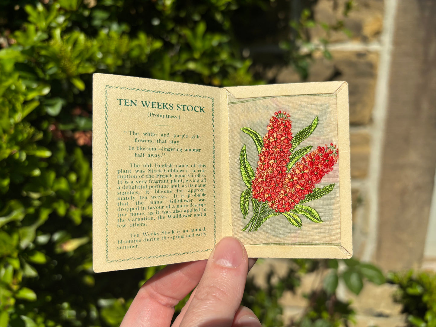 Kensitas 1930s Flower Cards