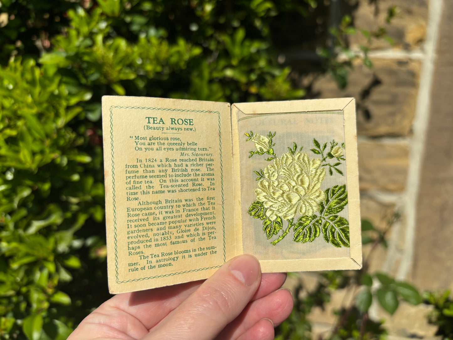 Kensitas 1930s Flower Cards