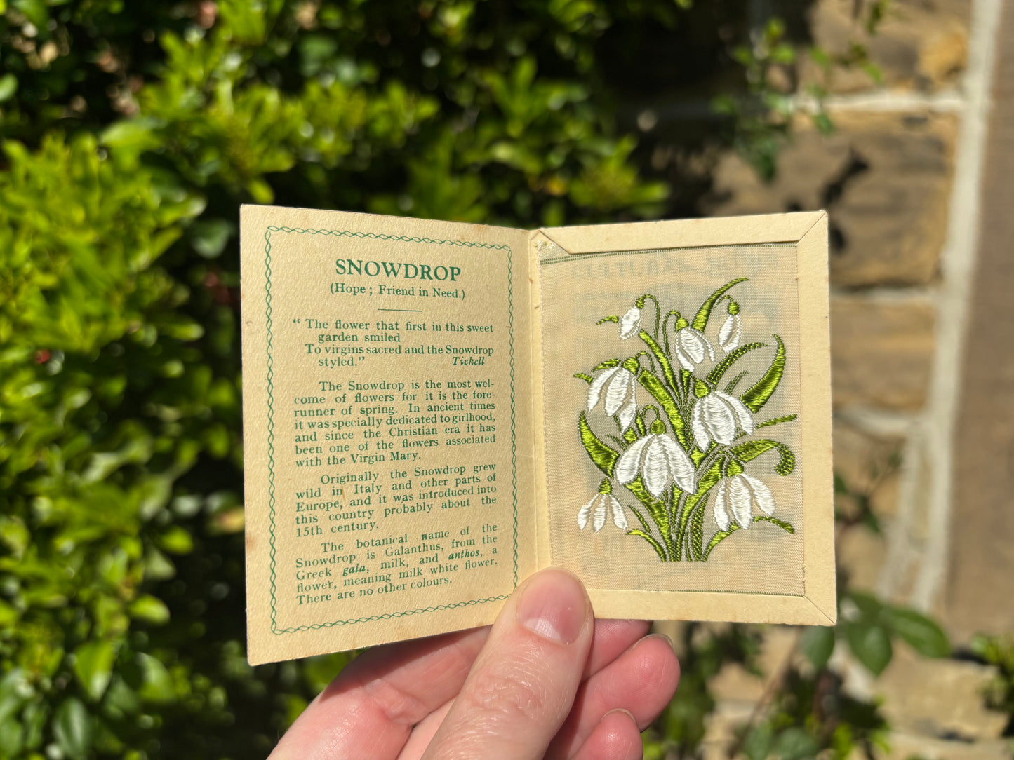 Kensitas 1930s Flower Cards