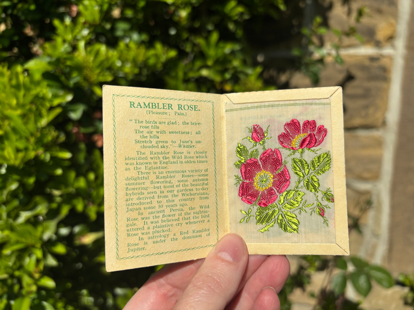 Kensitas 1930s Flower Cards