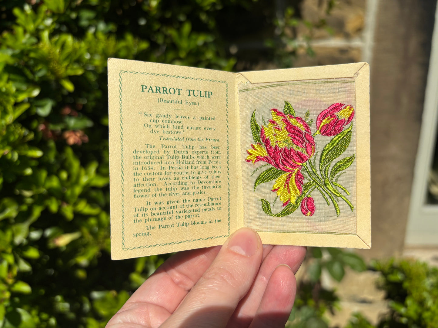 Kensitas 1930s Flower Cards