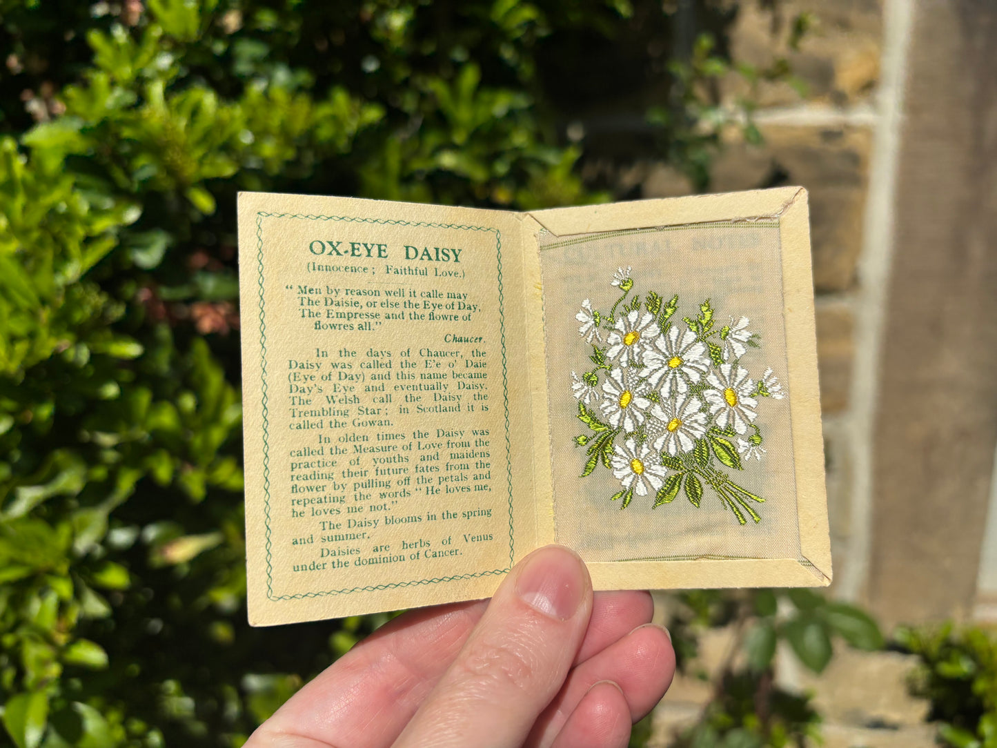 Kensitas 1930s Flower Cards