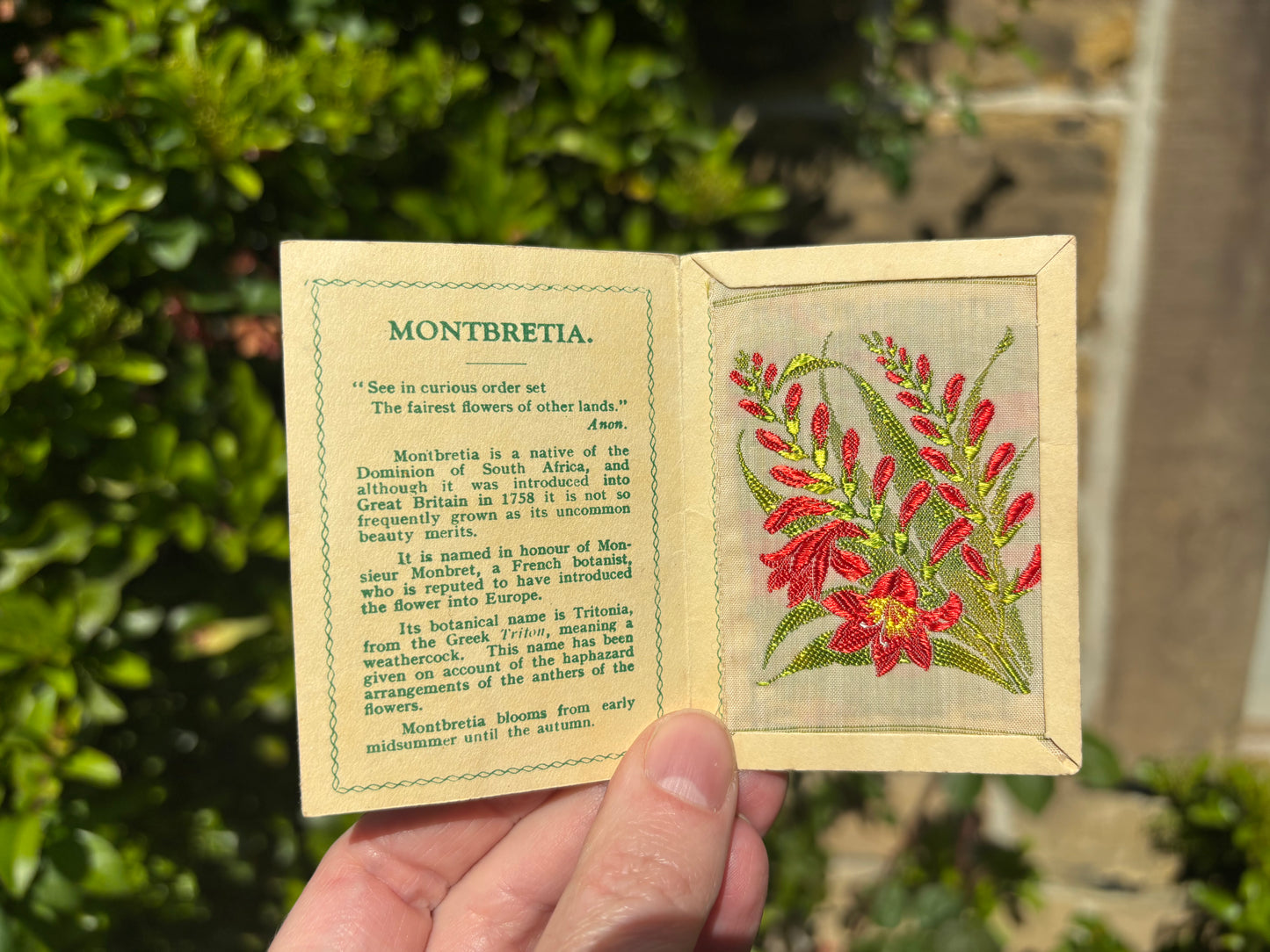 Kensitas 1930s Flower Cards