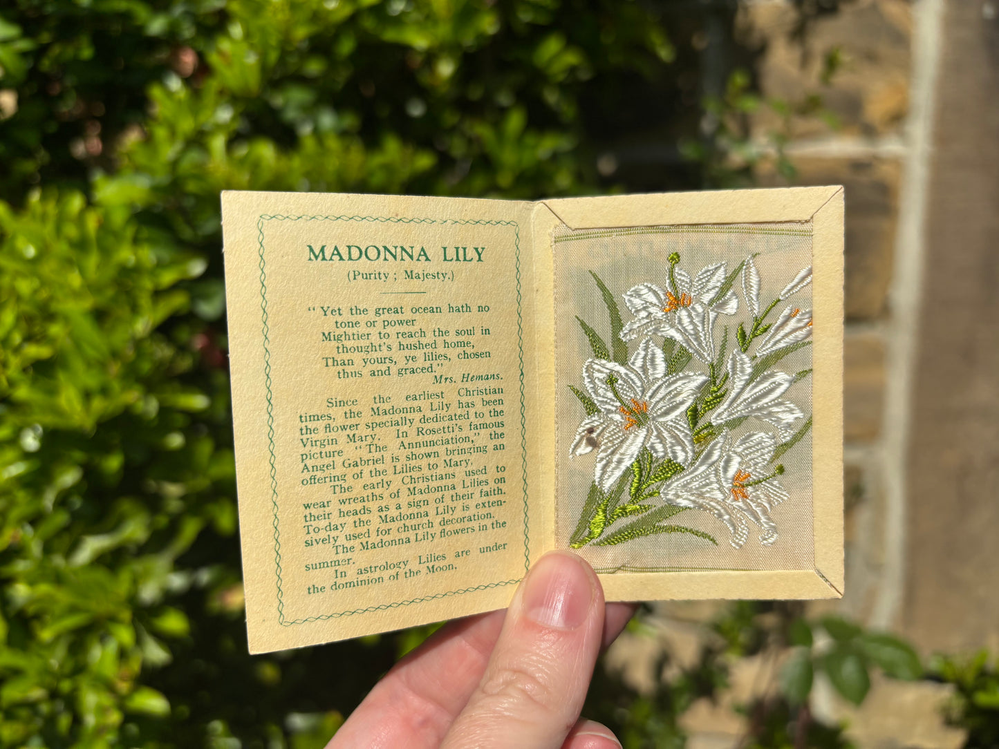 Kensitas 1930s Flower Cards