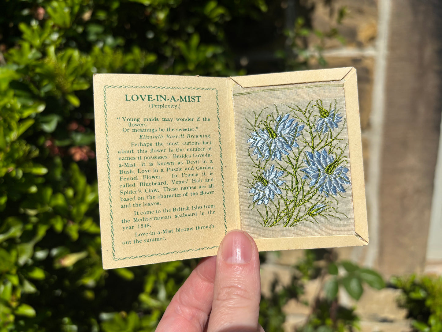 Kensitas 1930s Flower Cards