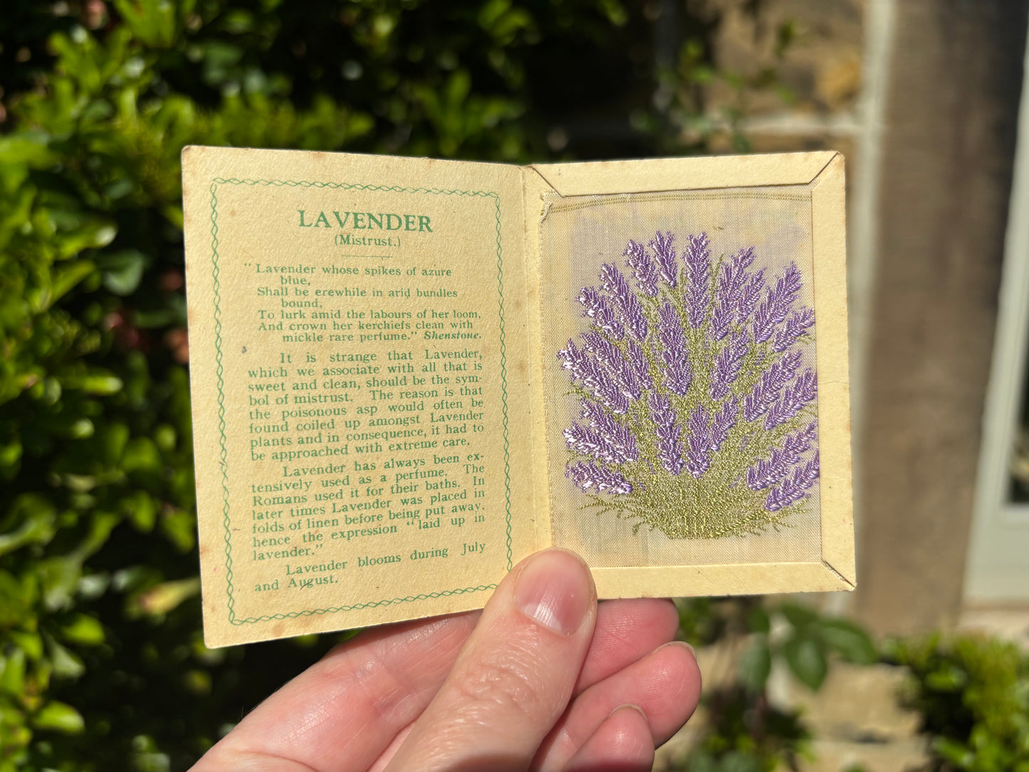 Kensitas 1930s Flower Cards
