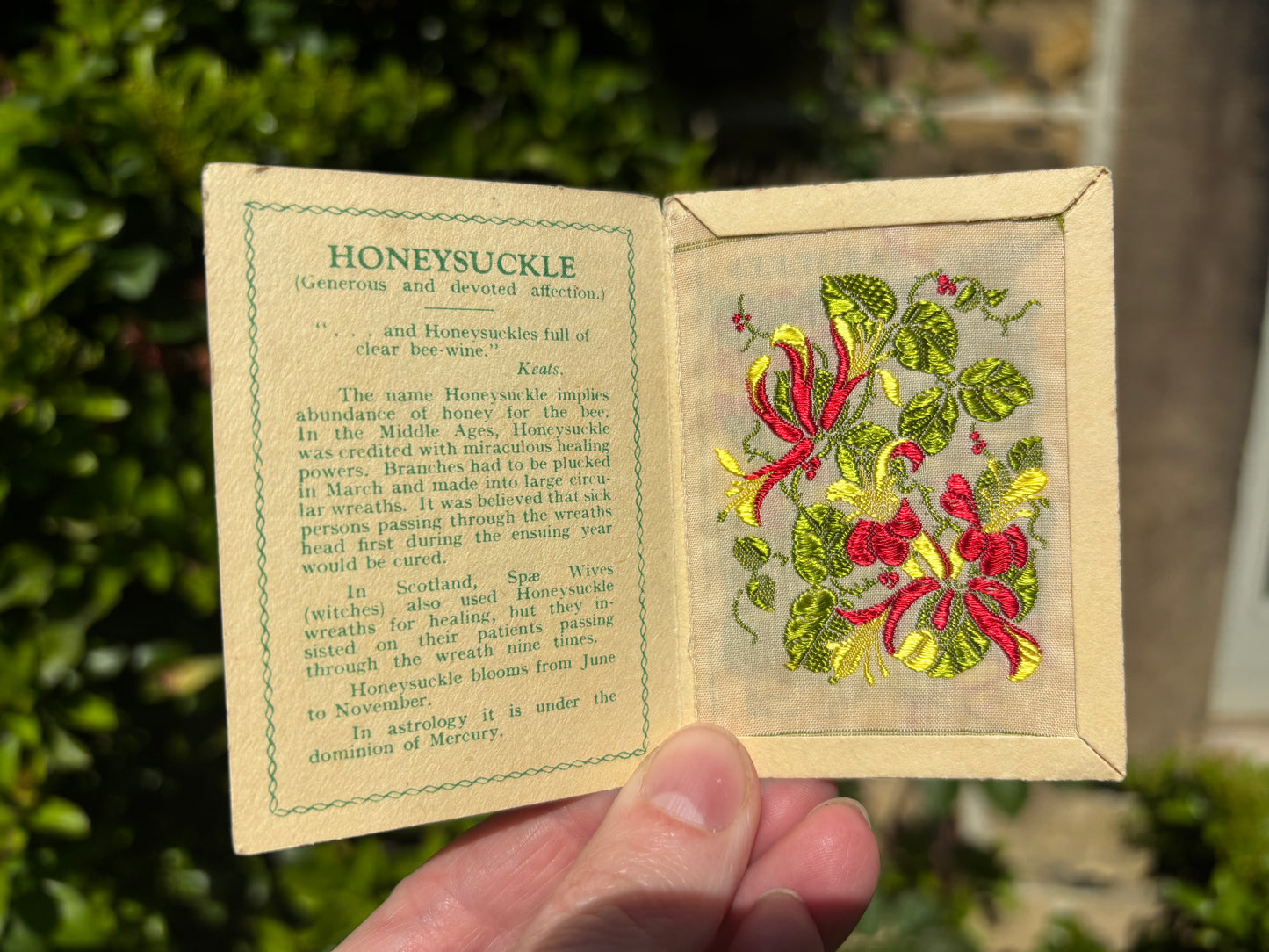 Kensitas 1930s Flower Cards