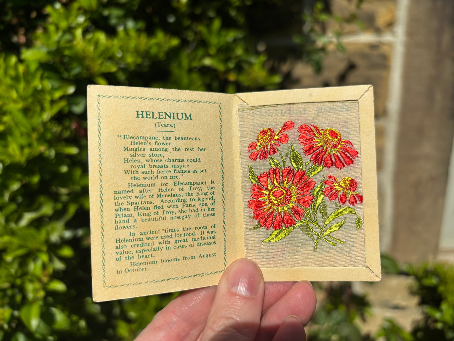 Kensitas 1930s Flower Cards