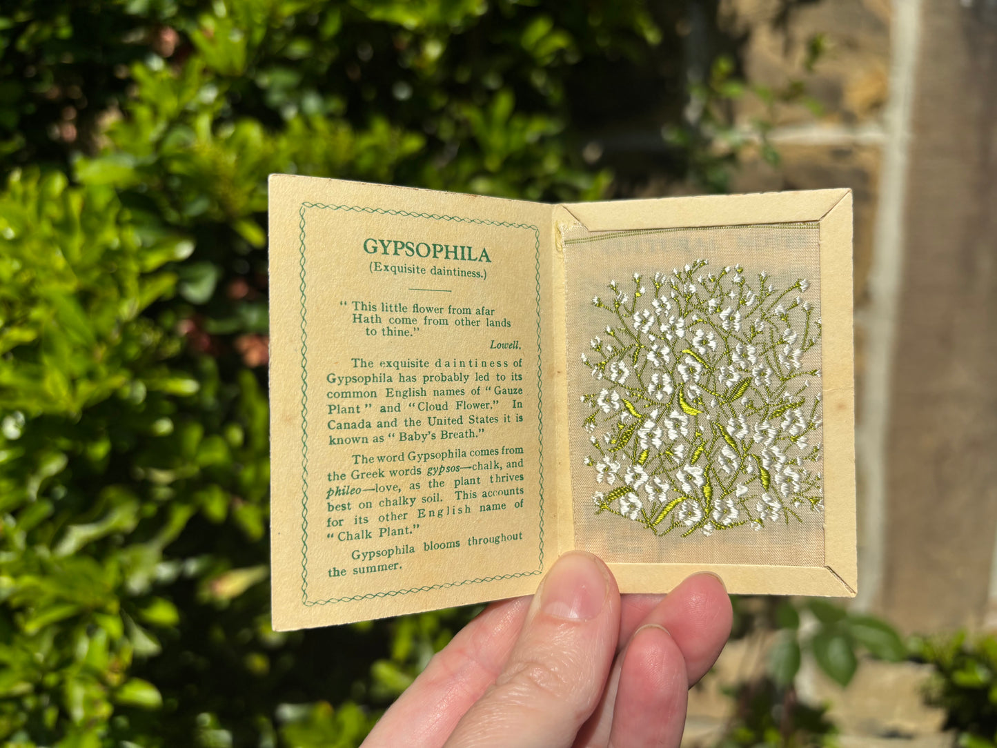 Kensitas 1930s Flower Cards