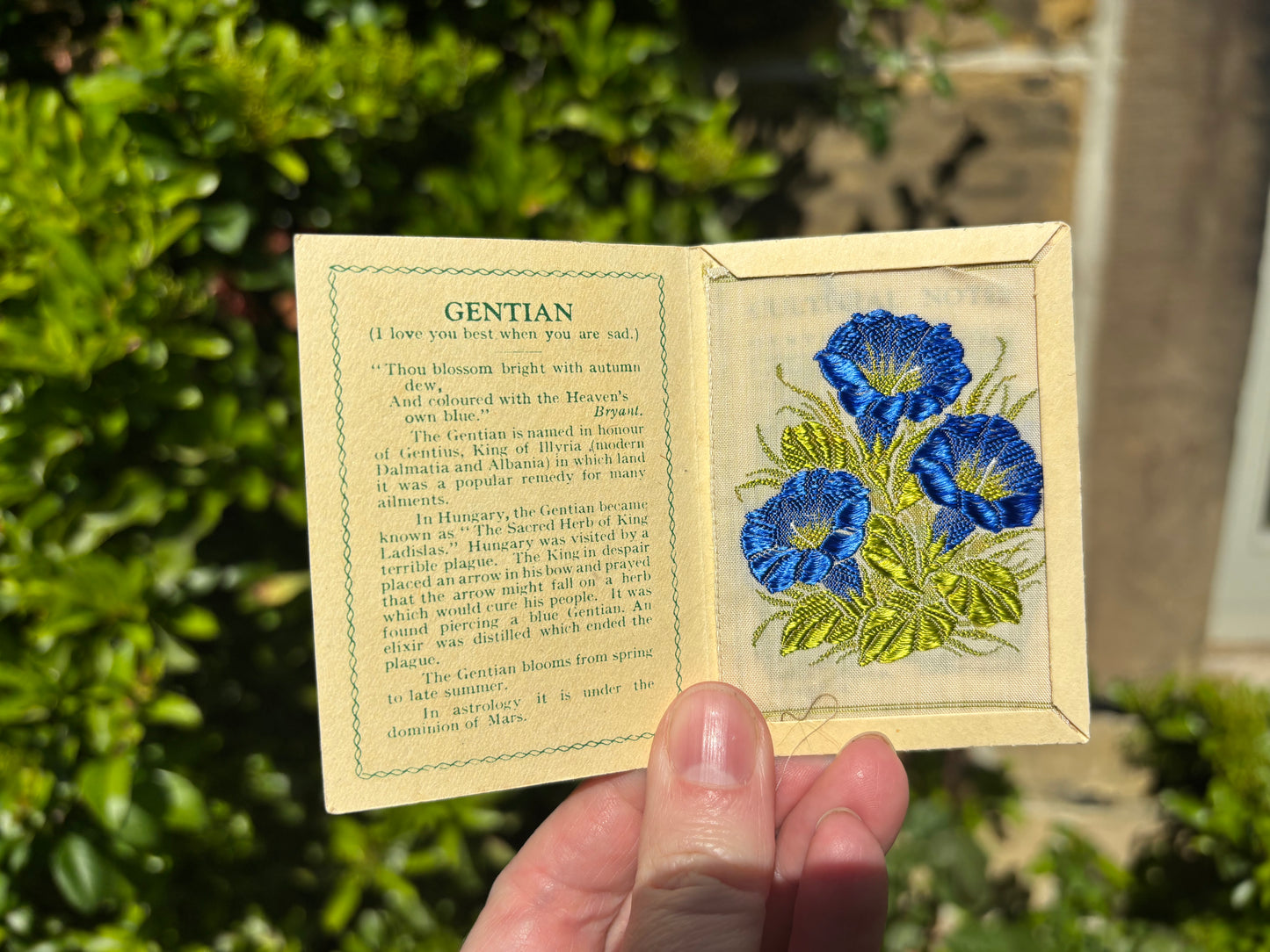 Kensitas 1930s Flower Cards
