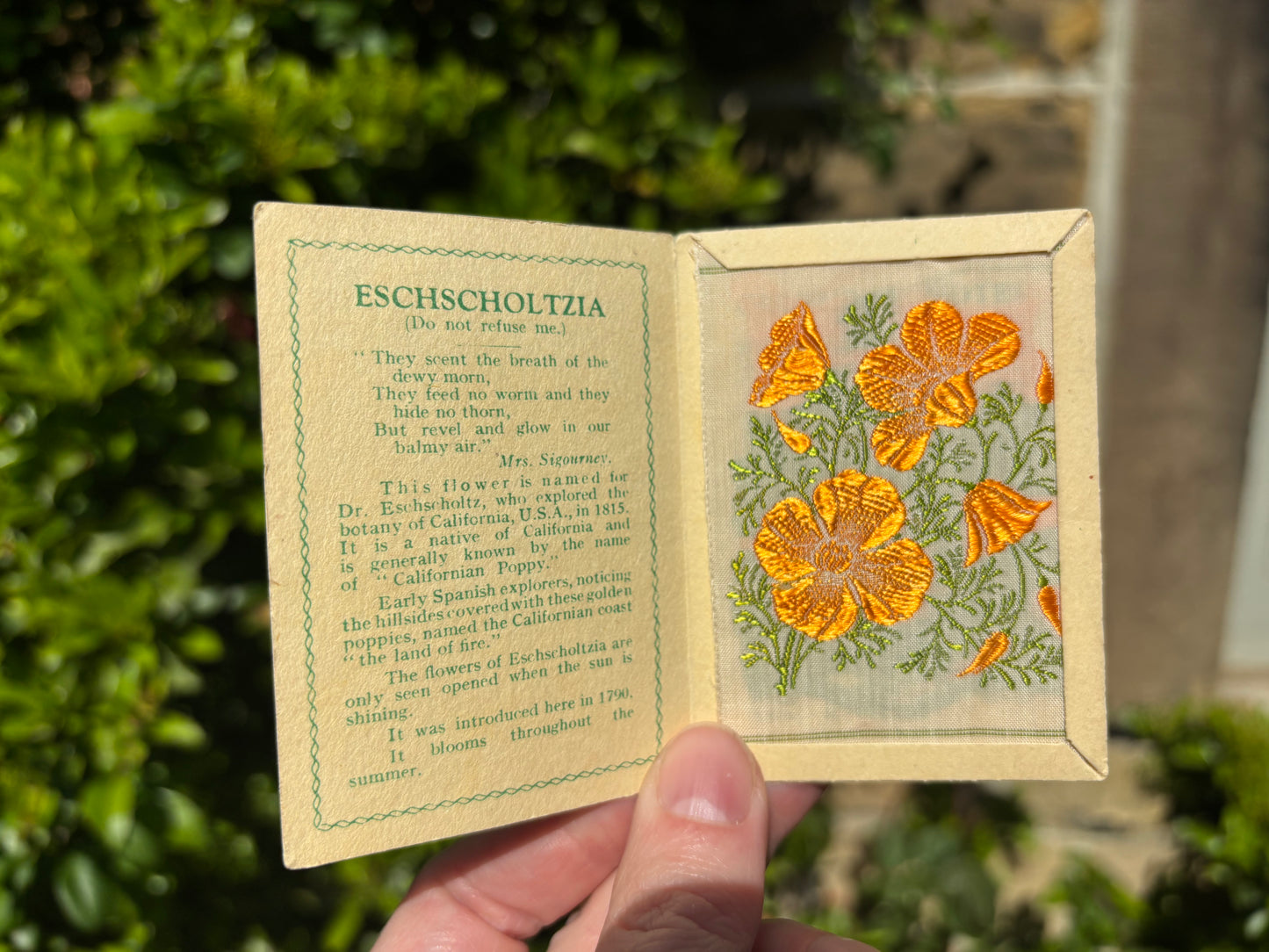 Kensitas 1930s Flower Cards