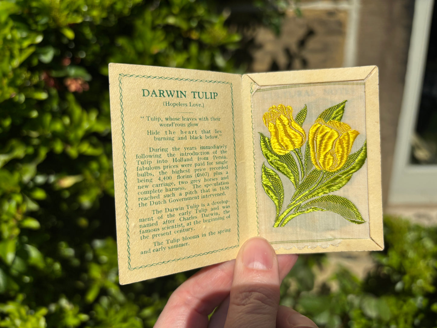 Kensitas 1930s Flower Cards