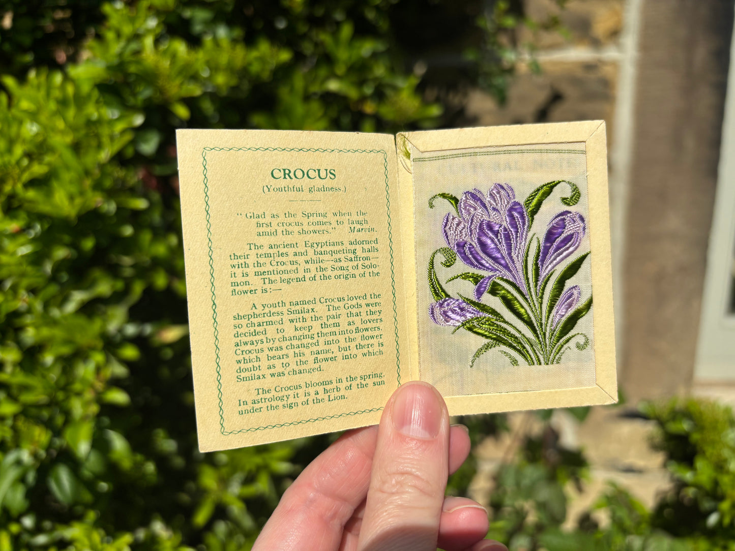Kensitas 1930s Flower Cards