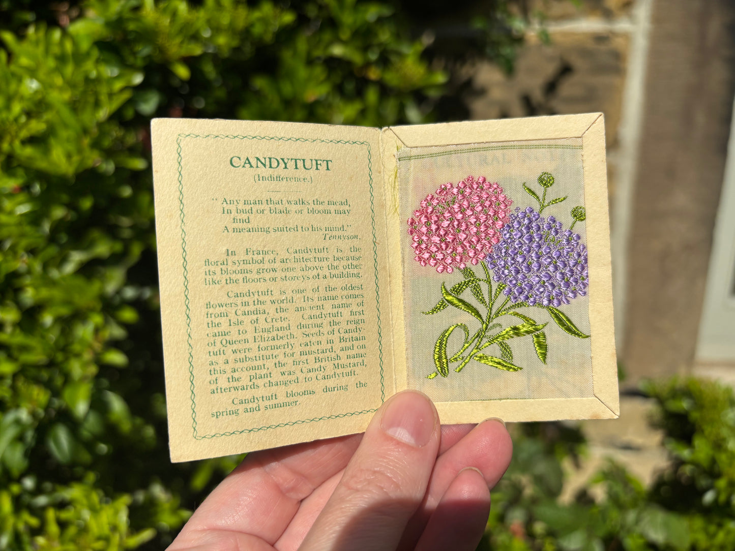 Kensitas 1930s Flower Cards