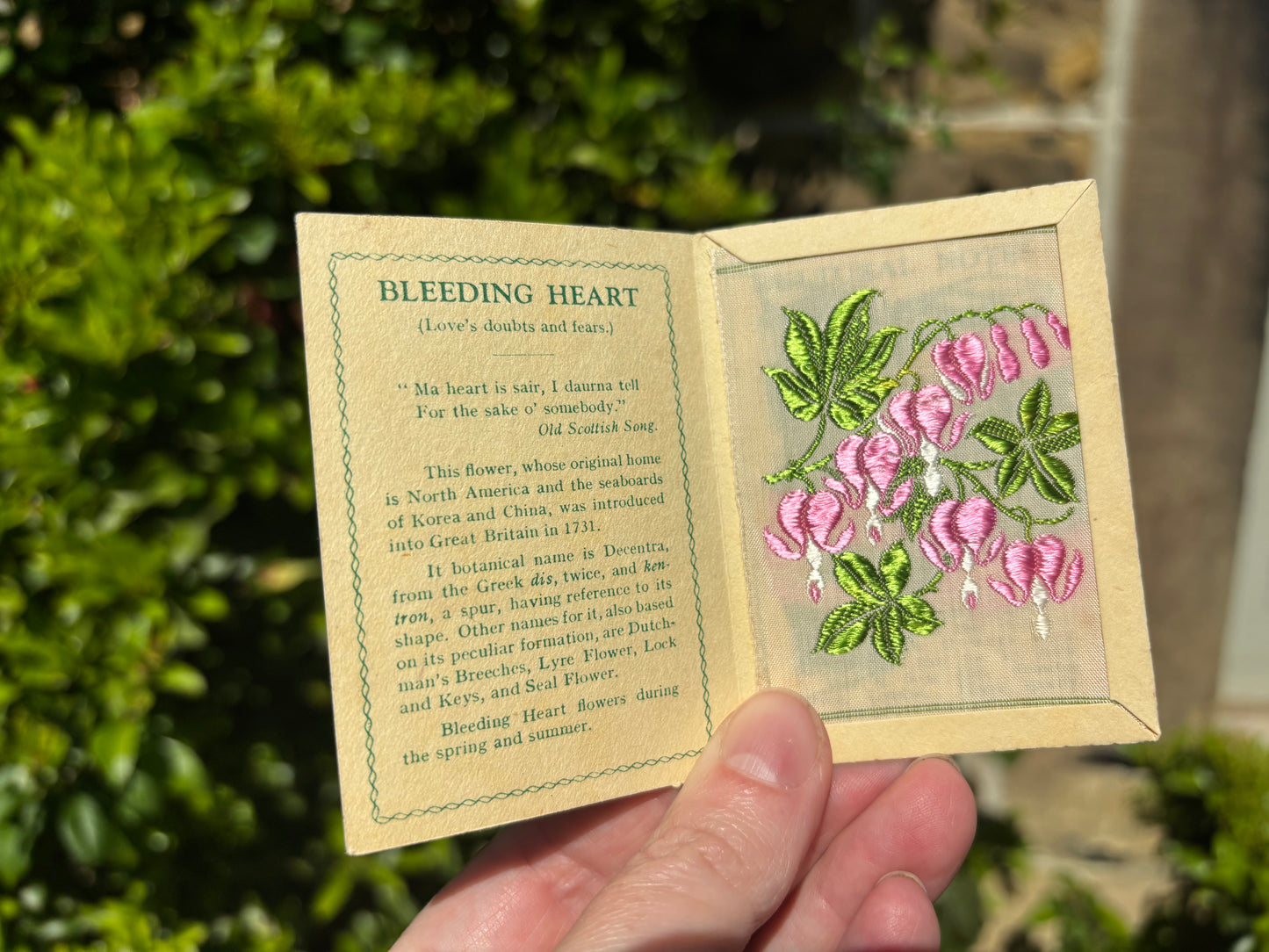 Kensitas 1930s Flower Cards