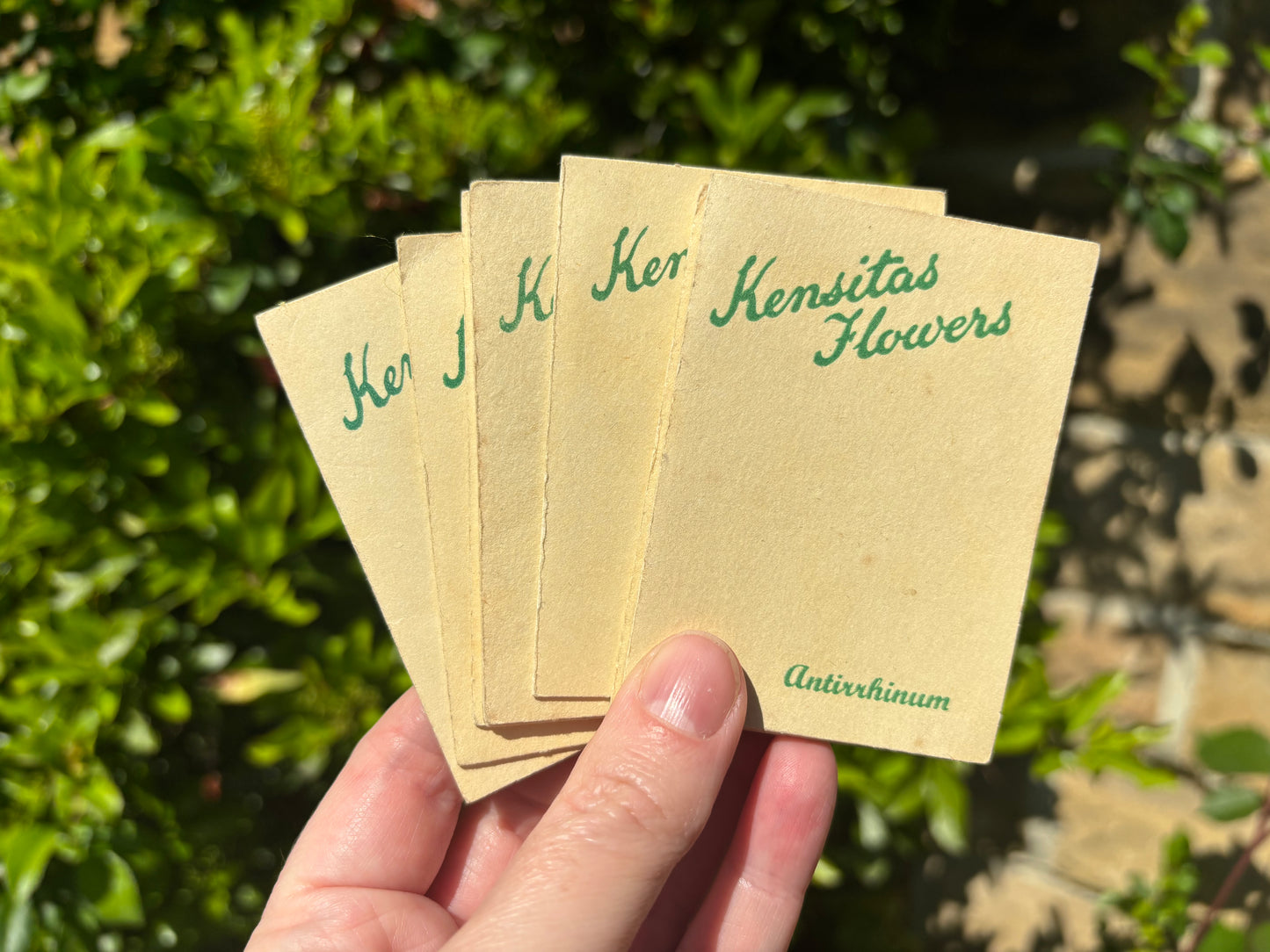 Kensitas 1930s Flower Cards
