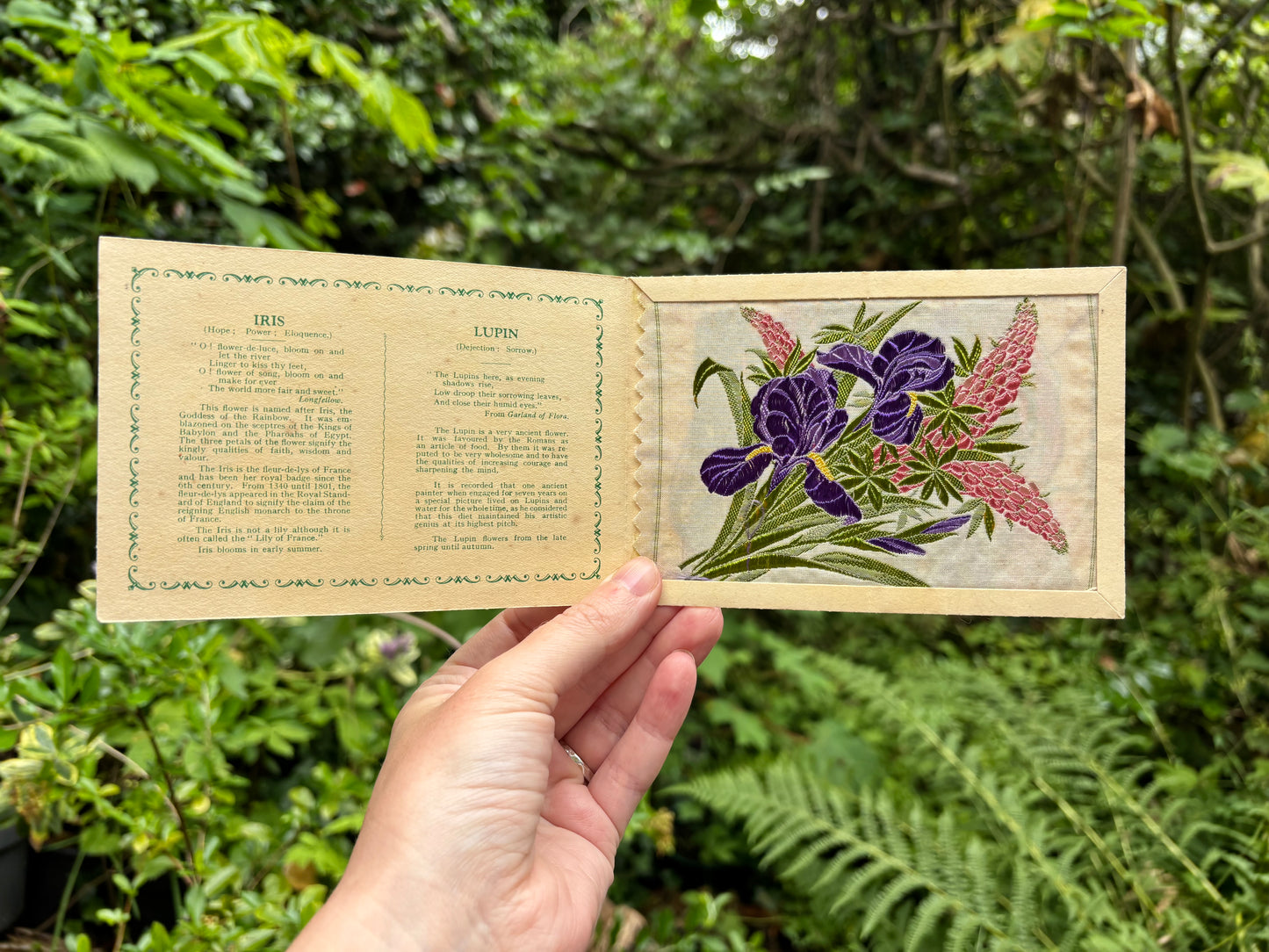 Postcard Kensitas Flower Cards