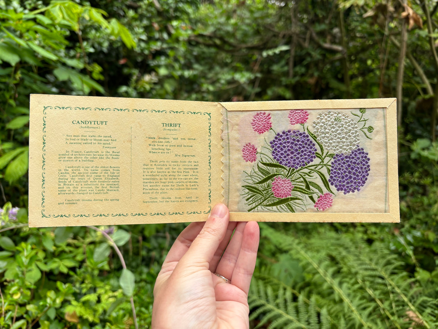 Postcard Kensitas Flower Cards