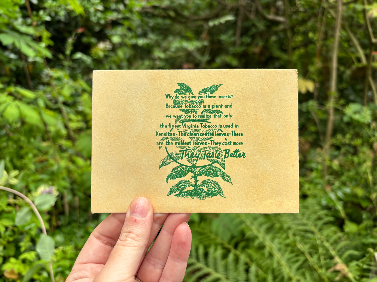 Postcard Kensitas Flower Cards