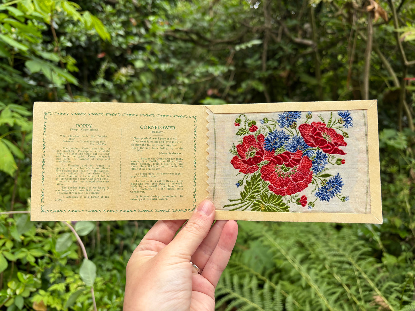 Postcard Kensitas Flower Cards