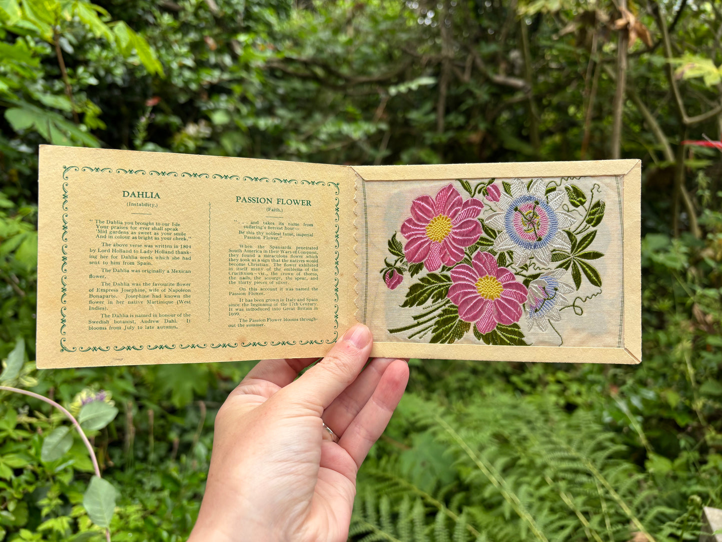 Postcard Kensitas Flower Cards