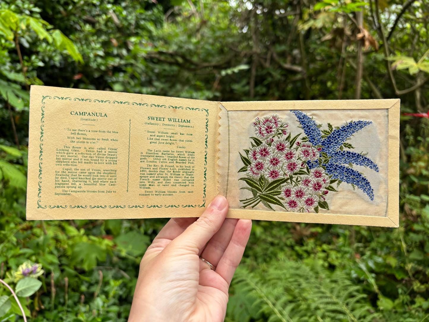 Postcard Kensitas Flower Cards