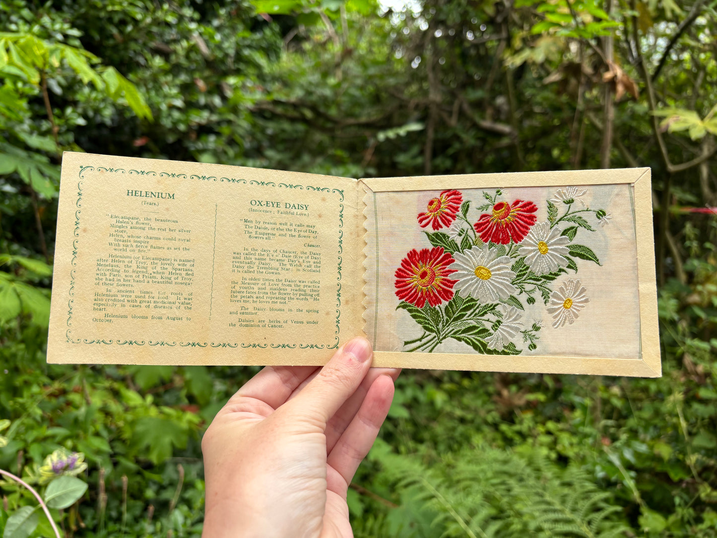 Postcard Kensitas Flower Cards