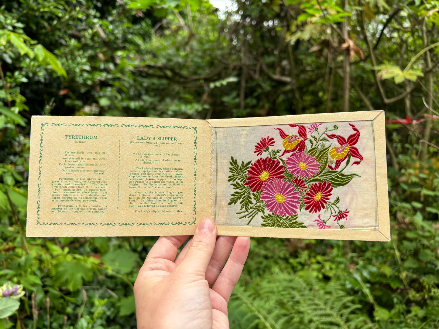 Postcard Kensitas Flower Cards