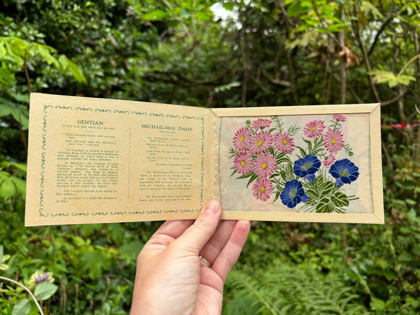 Postcard Kensitas Flower Cards