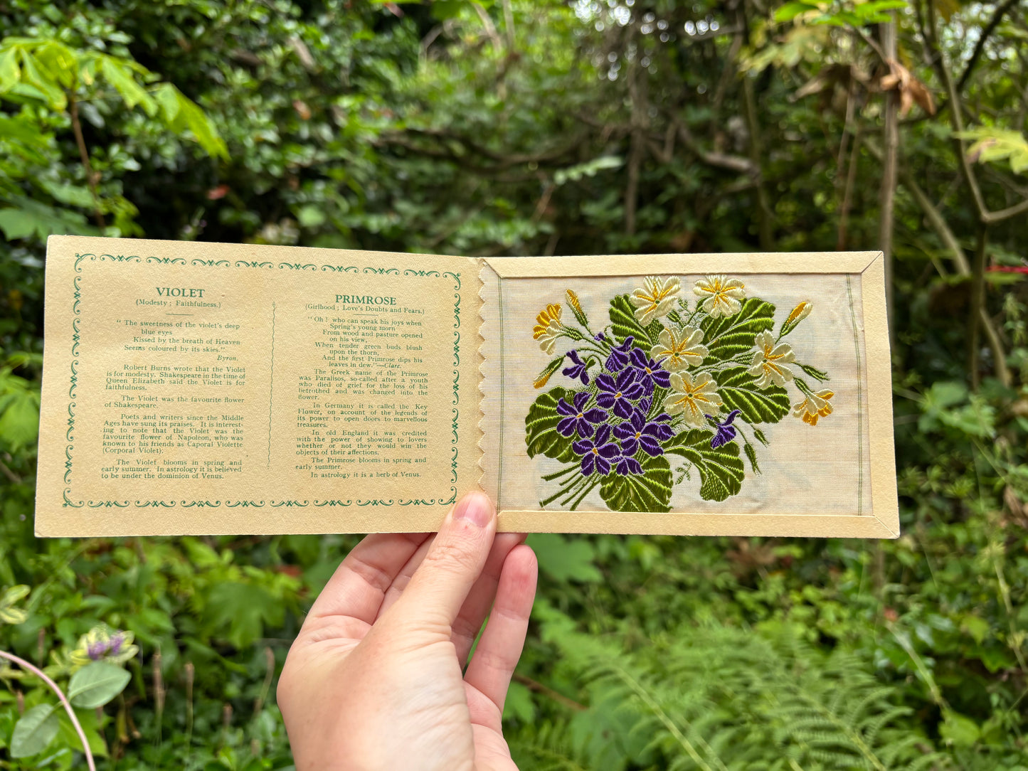 Postcard Kensitas Flower Cards