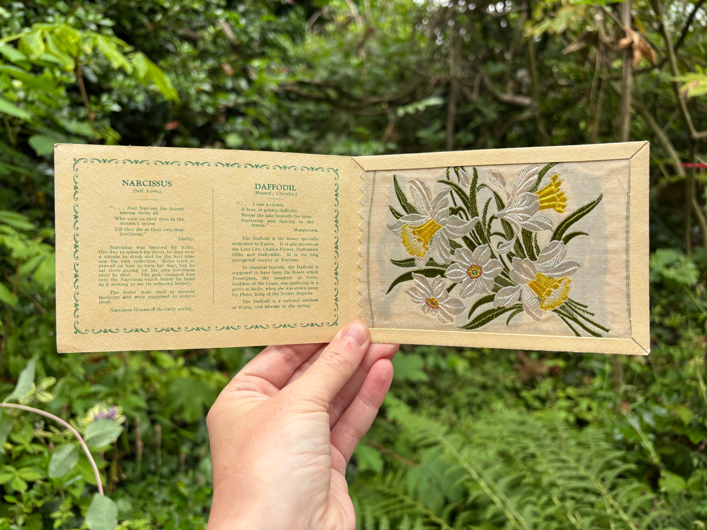 Postcard Kensitas Flower Cards