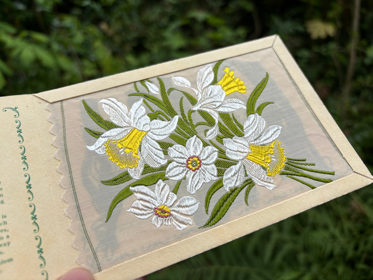 Postcard Kensitas Flower Cards