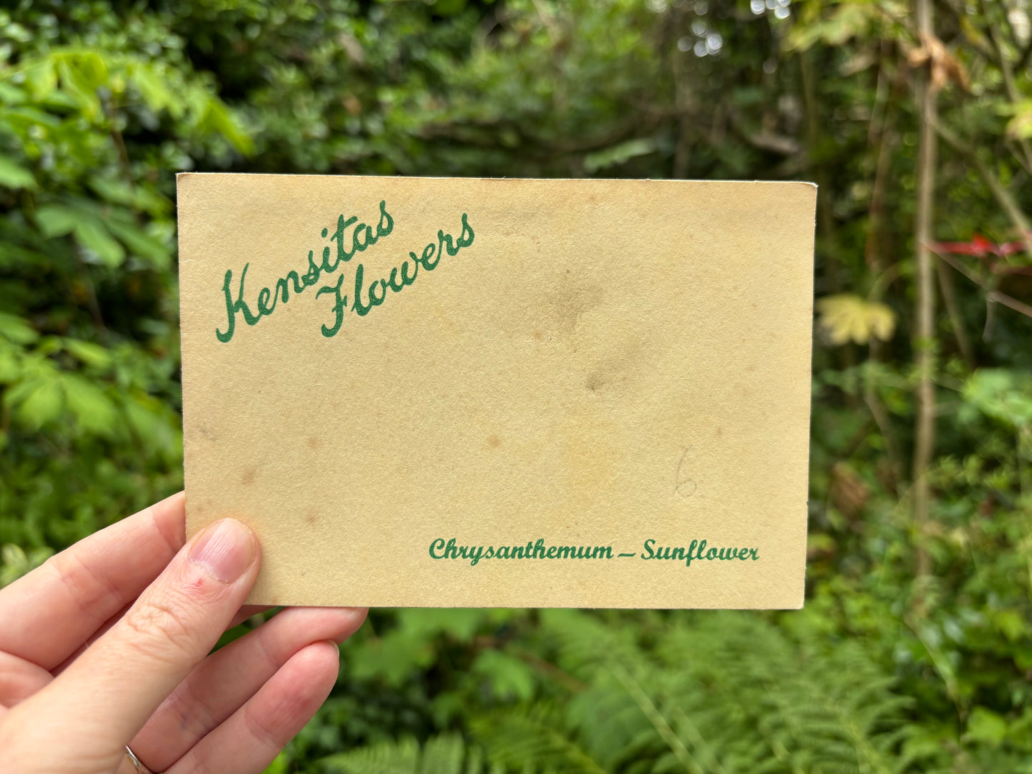 Postcard Kensitas Flower Cards