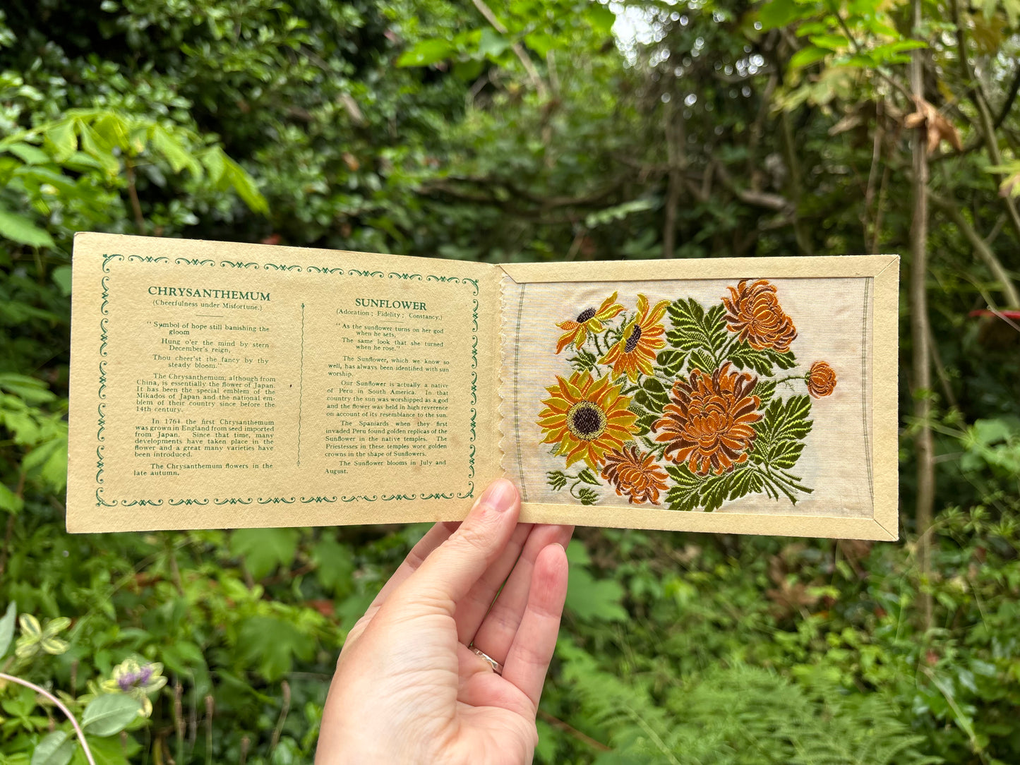 Postcard Kensitas Flower Cards