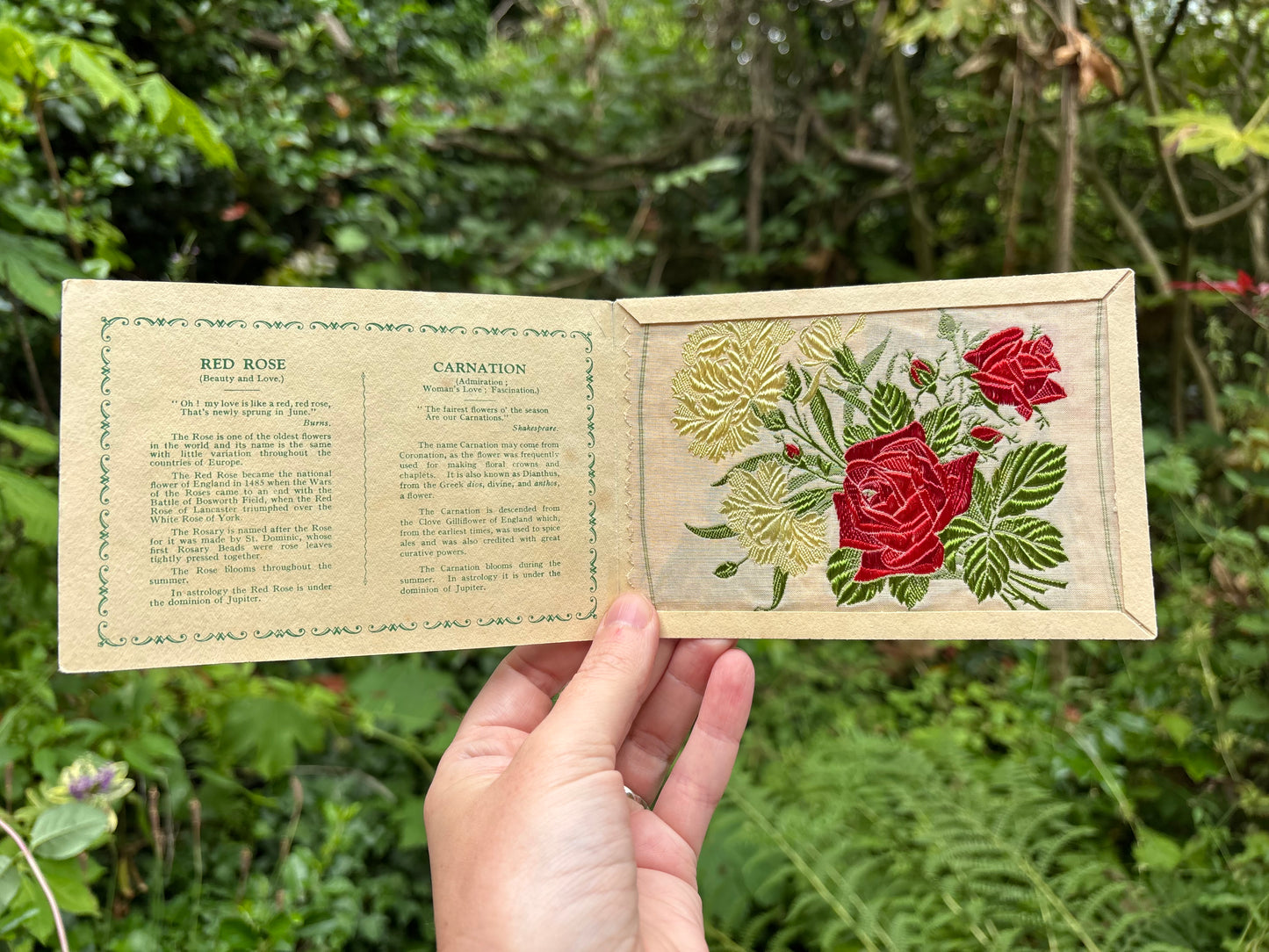 Postcard Kensitas Flower Cards