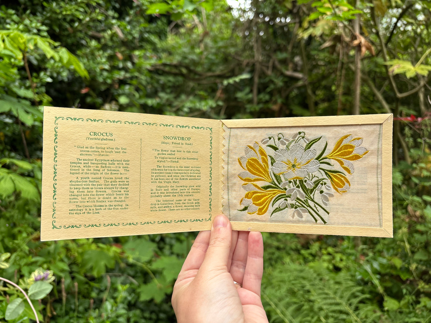 Postcard Kensitas Flower Cards