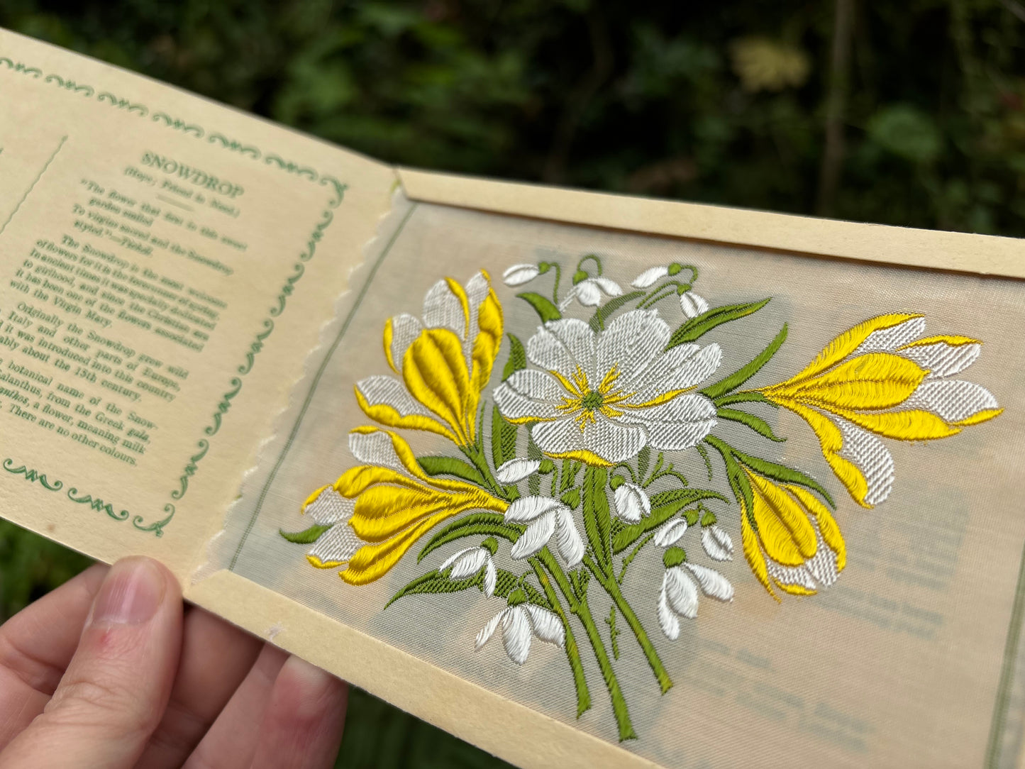 Postcard Kensitas Flower Cards