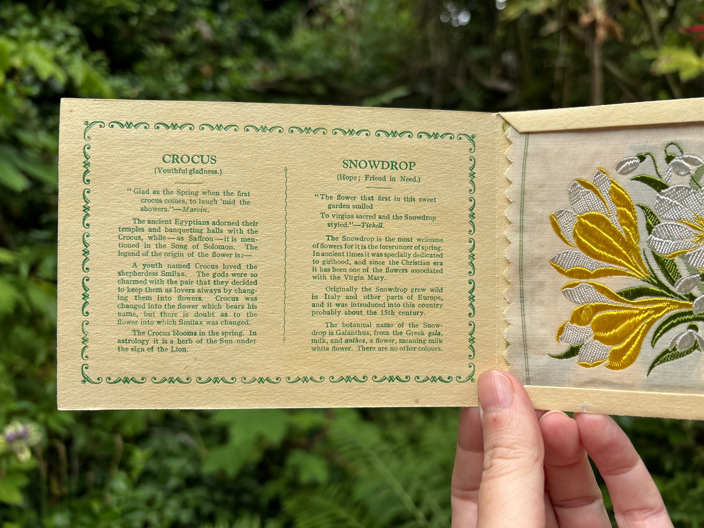 Postcard Kensitas Flower Cards